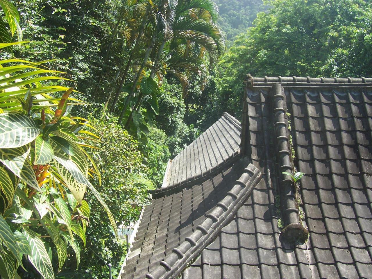卡萨圣康拉多住宿加早餐旅馆 里约热内卢 外观 照片